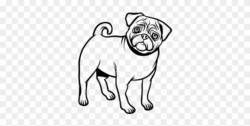 Desenhos De Pug Para Pintar #1669169