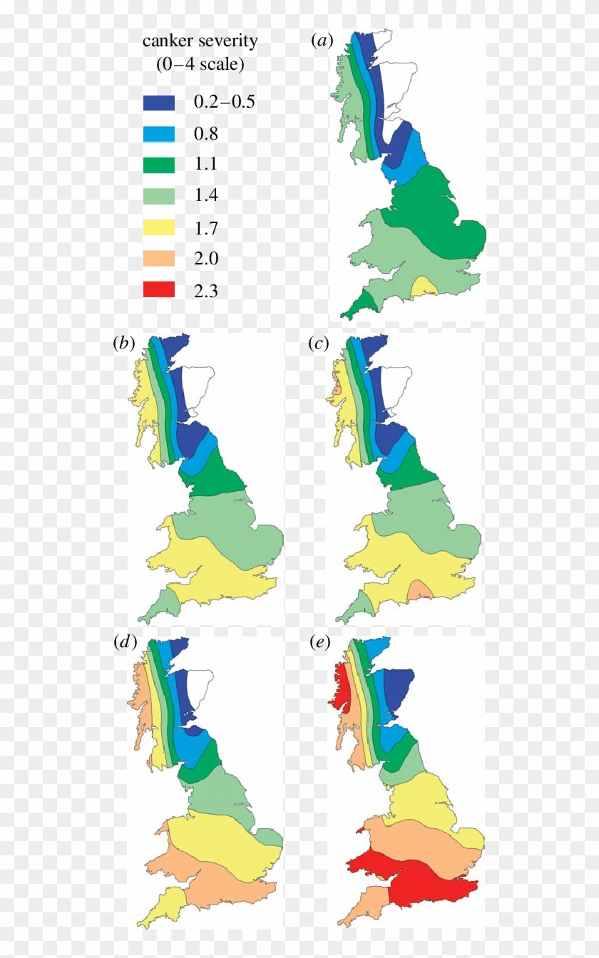 Predicted Severity Of Phoma Stem Canker At Harvest - Map Of Uk #1669198