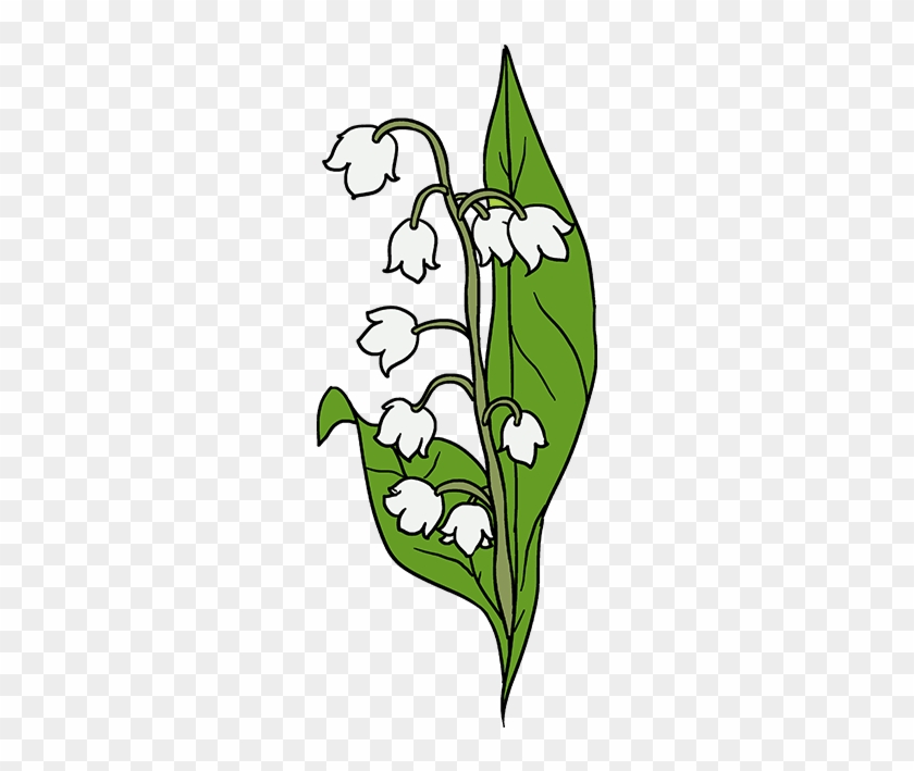 680 X 678 2 - Lily Of The Valley Drawing Simple #1669479