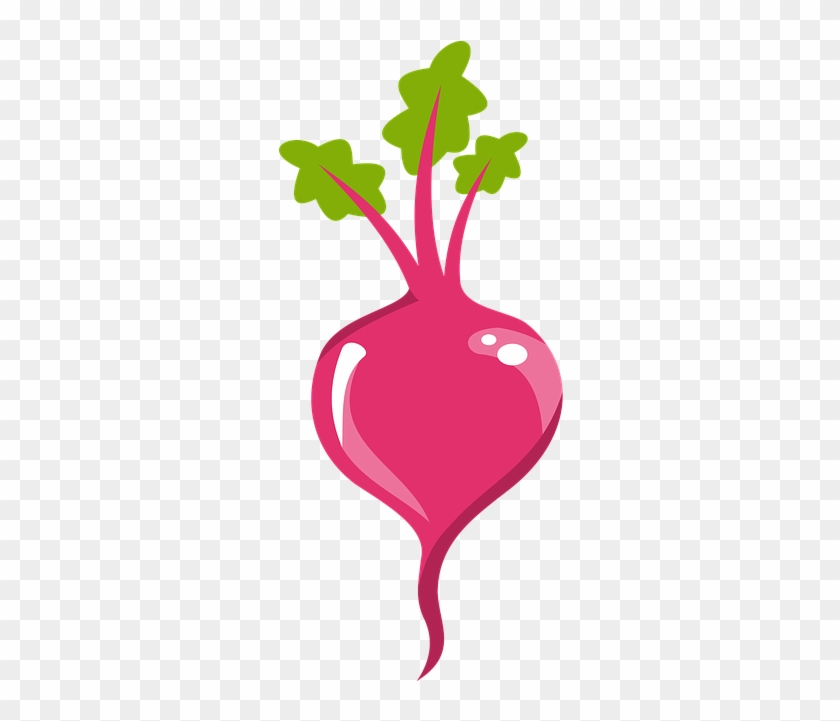 Beet Cartoon Png #1669756