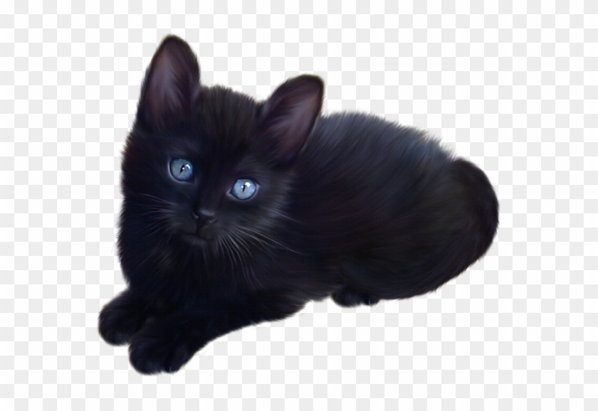 Dog Cat, Cats And Kittens, Black Kittens, Cat Clipart, - Black Cat With No Background #1669844