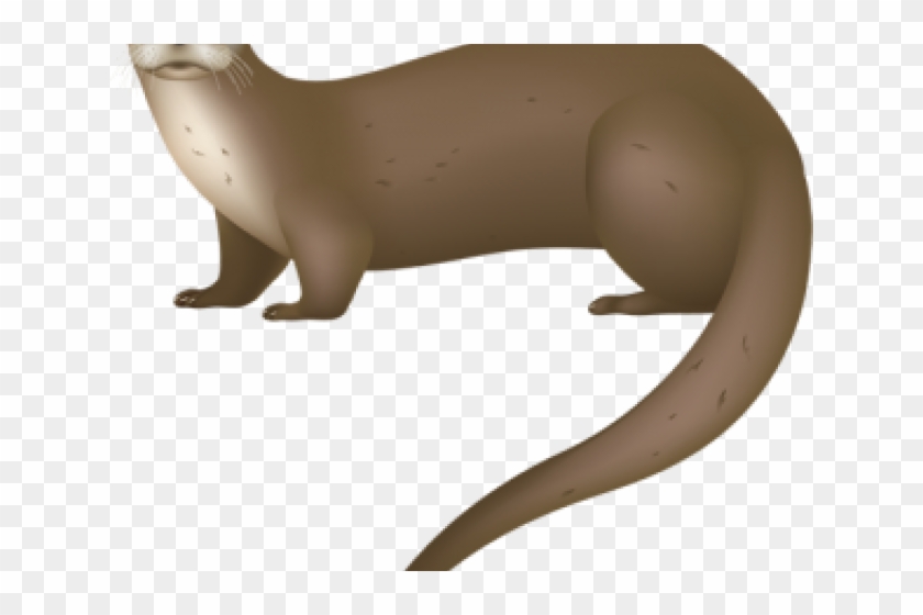 Sea Otter Clipart 3d Printed - Sea Otter Vs River Otter #1670035