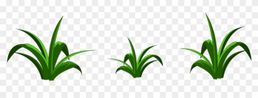 Free Png Grass Decor Transparent Png Images Transparent - Grass Clipart Png #1670262