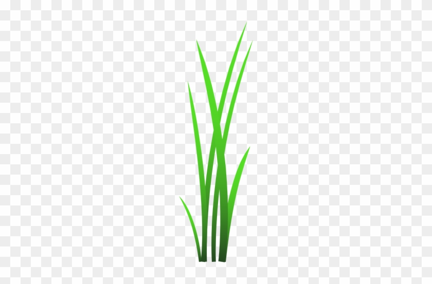 512 X 512 1 - Sweet Grass #1670263