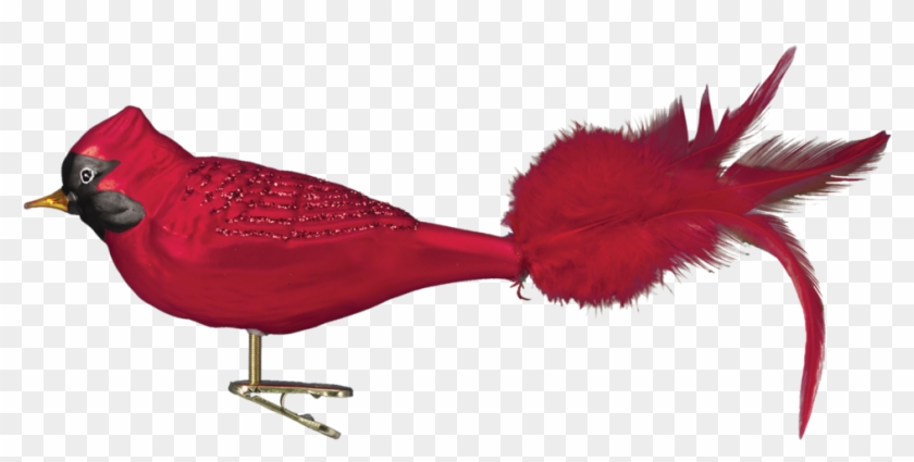 Old World Christmas Blown Glass Large Cardinal Ornament - Christmas Bird Ornament Png #1670271