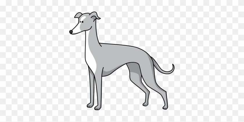 0 Replies 0 Retweets 0 Likes - Cartoon Italian Greyhound #1671006