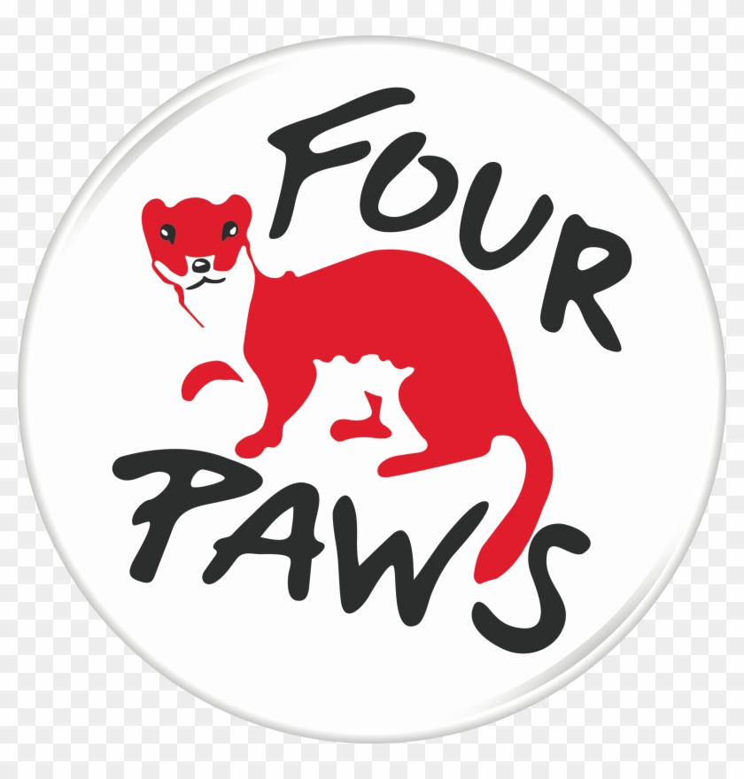 Domazhyr Bear Sanctuary - Four Paws International Logo #1671078