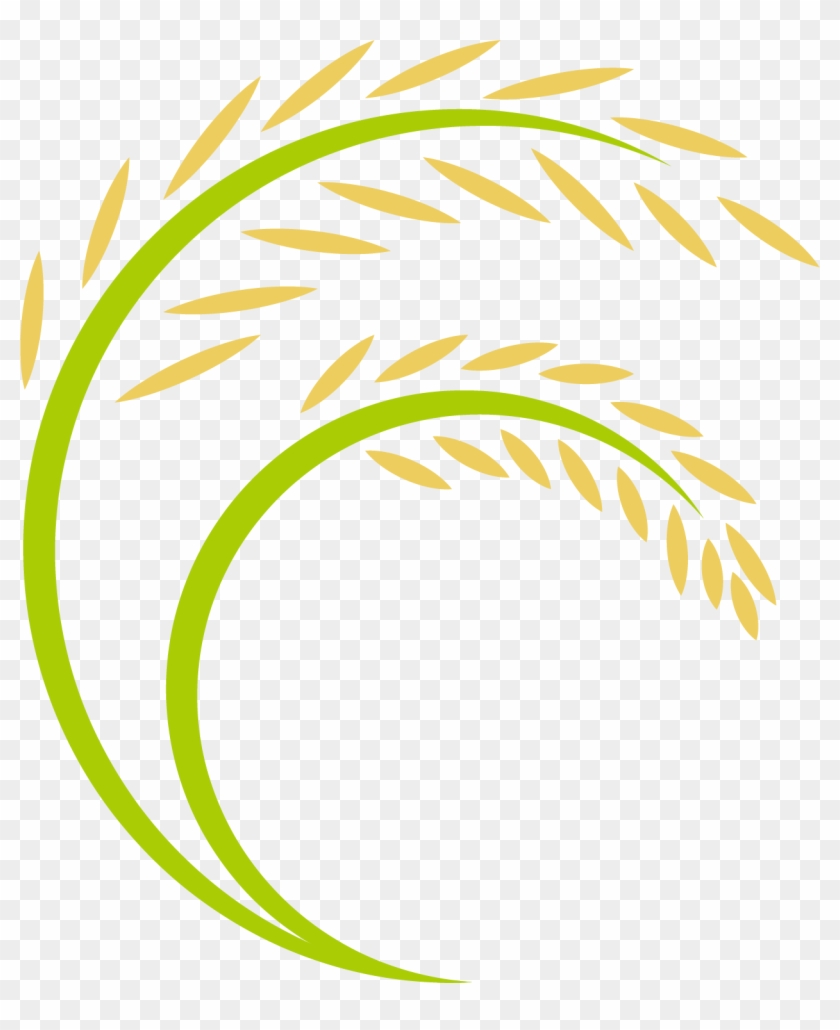 Harvest Vector Paddy - Paddy Logo #1671352