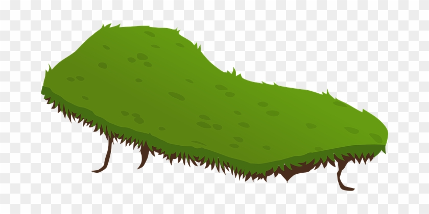 Terrain, Grass, Green, Field, Nature - Terreno Vector Png #1671353