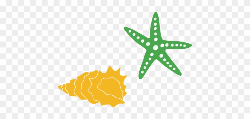 Download Starfish And Cut Snap Click Supply Co Starfish Shell Svg Free Transparent Png Clipart Images Download