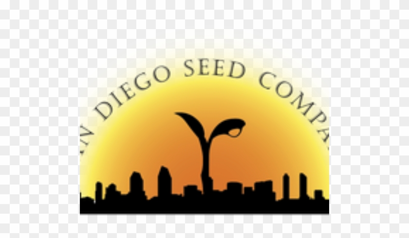 San Diego #1671729