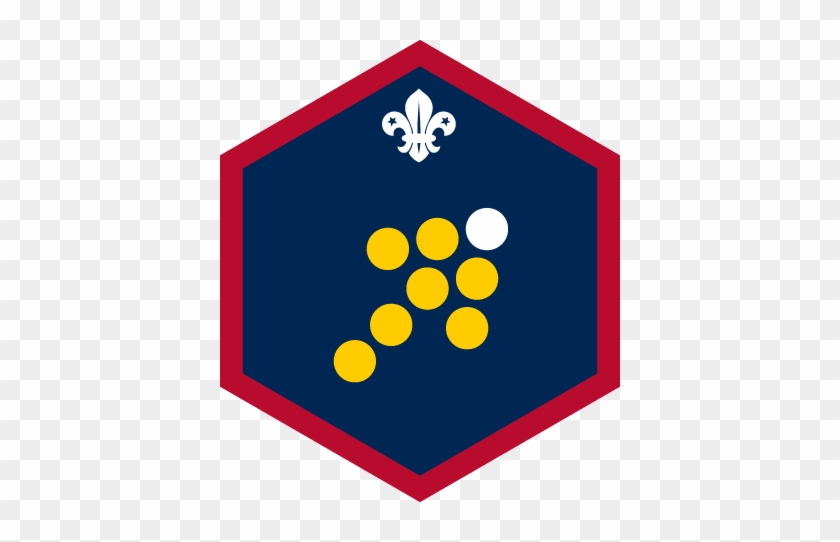 Scout Skills Challenge Badge #1671782