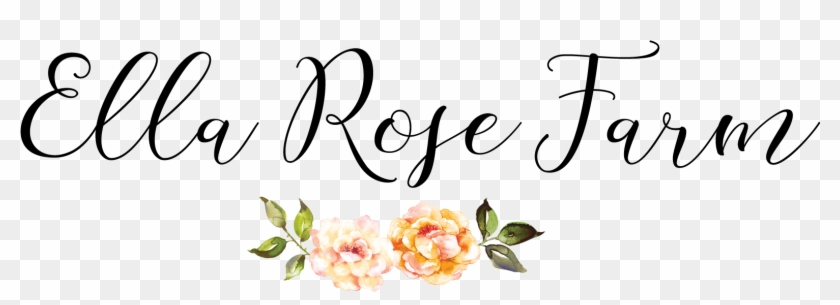 Ella Rose Calligraphy #1671839
