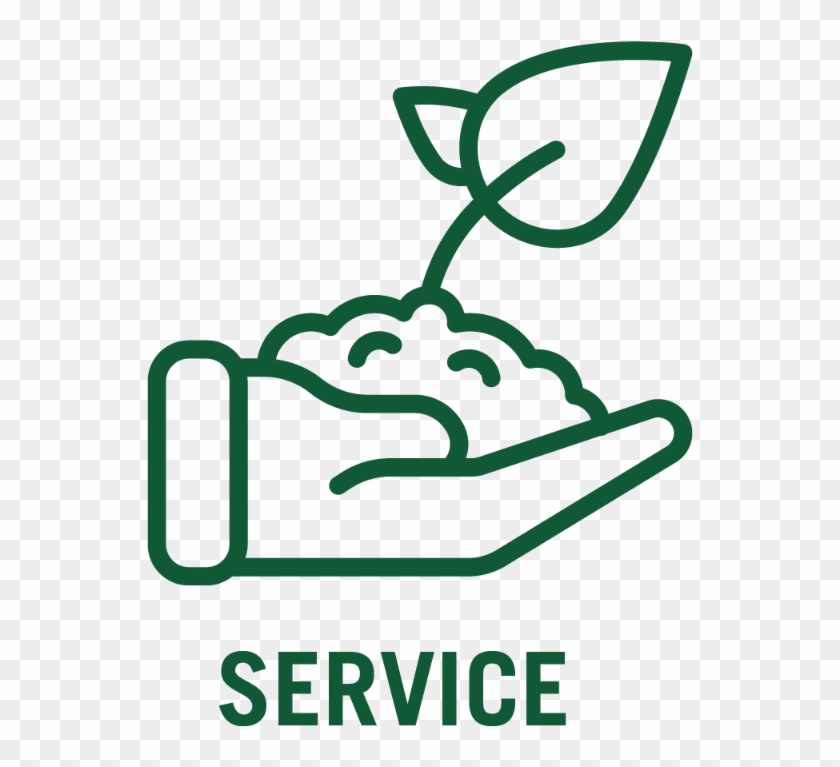 Service And Hand With Plant Icon - Cover Of Excellence #1671878