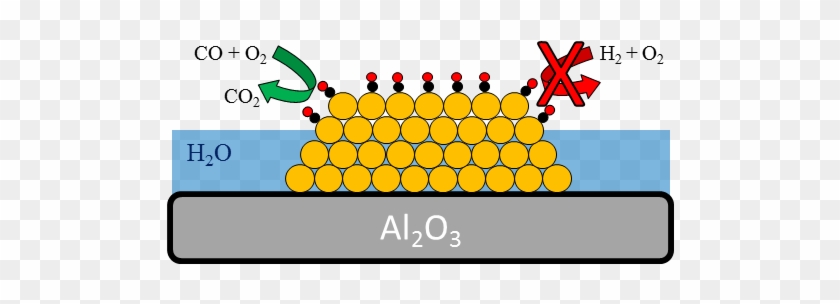 Bert D - Gold Nanoparticles For Catalysis #1671913