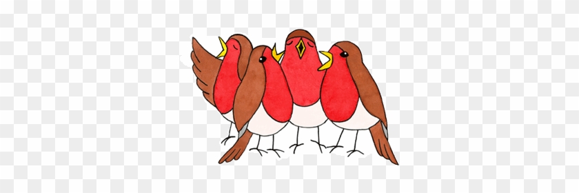 Four Calling Birds - Songbird #1672350