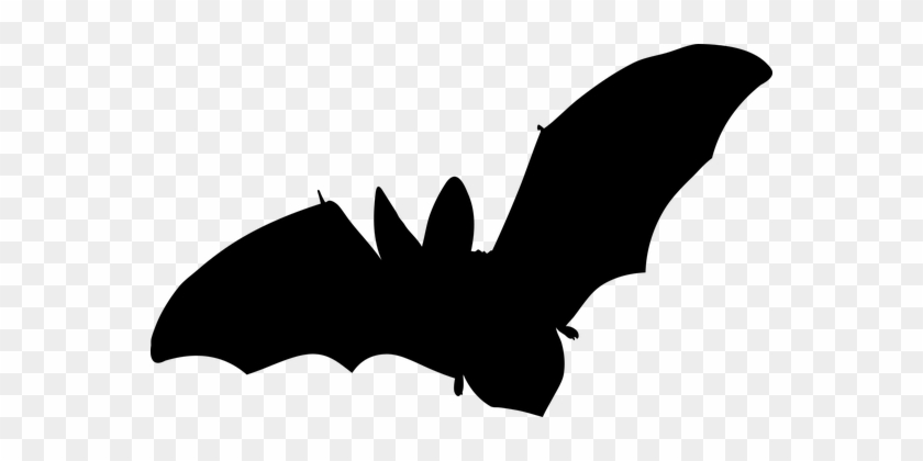 Appleseed Park District Has Bats Program April - Silhouette Fledermaus #1672387