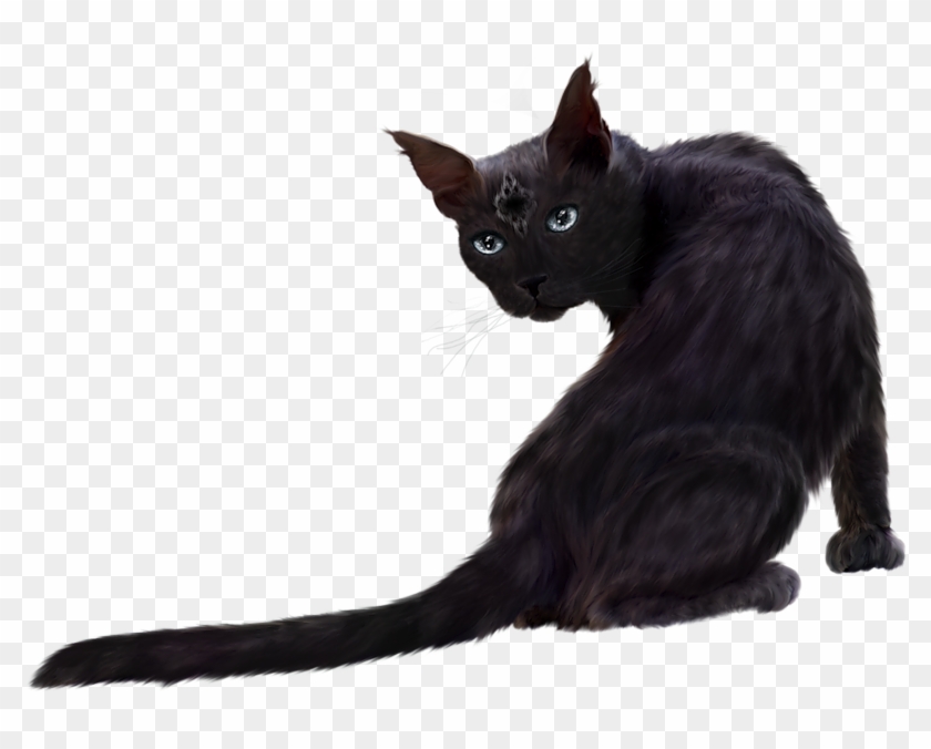 0 1519e2 6ceaffea Orig - Black Cat Png Hd #1672501