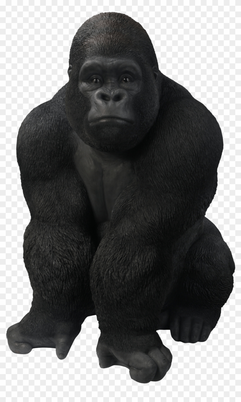 Gorilla Clip Art Transparent - Gorilla Png #1672520