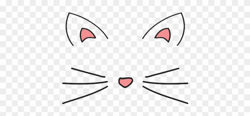 500 X 338 7 - Cute Cat Whiskers Png #1672546