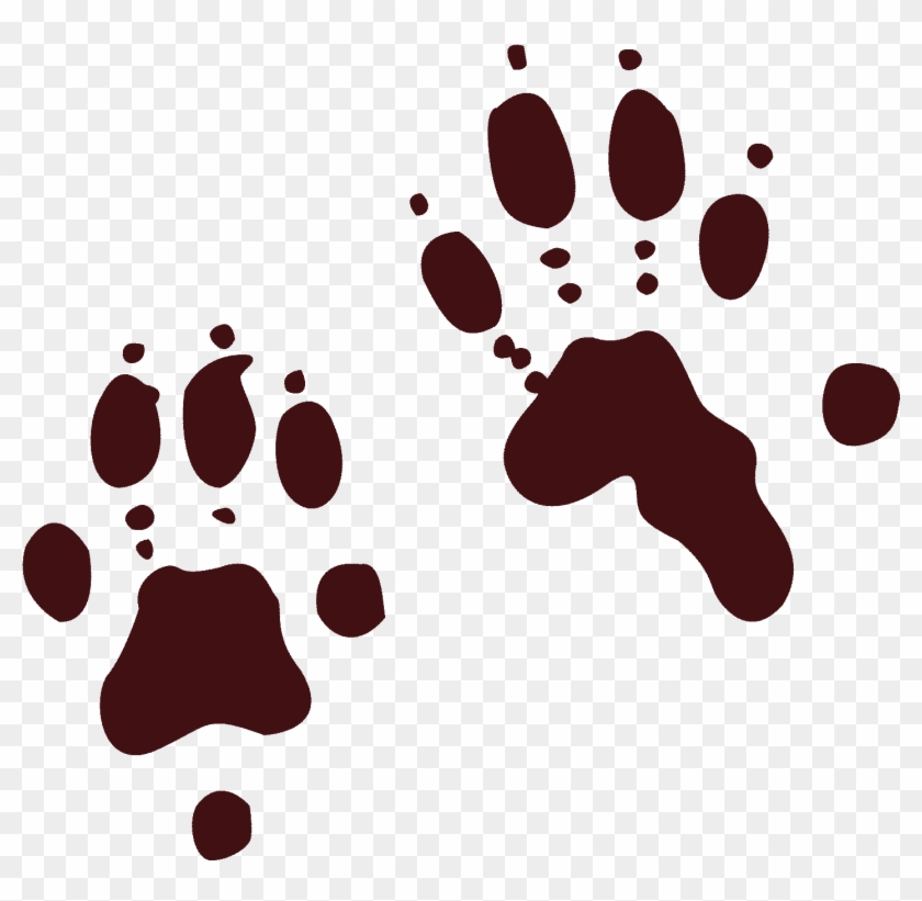 Kayaking Clipart Cartoon Otter - North American River Otter Paw Print #1672570