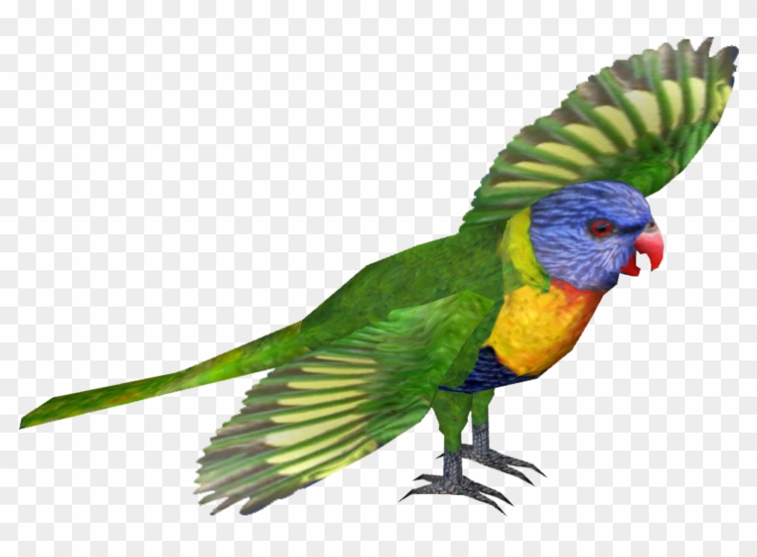 Category Gaby-raptora Zt2 Library Wiki Fandom - Rainbow Lorikeet Image Png #1672750