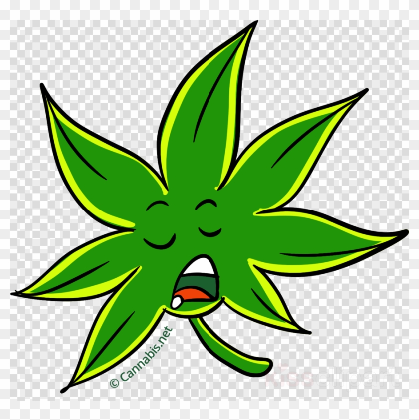 Tetrahydrocannabinol Clipart Cannabis Cup Sour Diesel - Black Wings With No Background #1673243