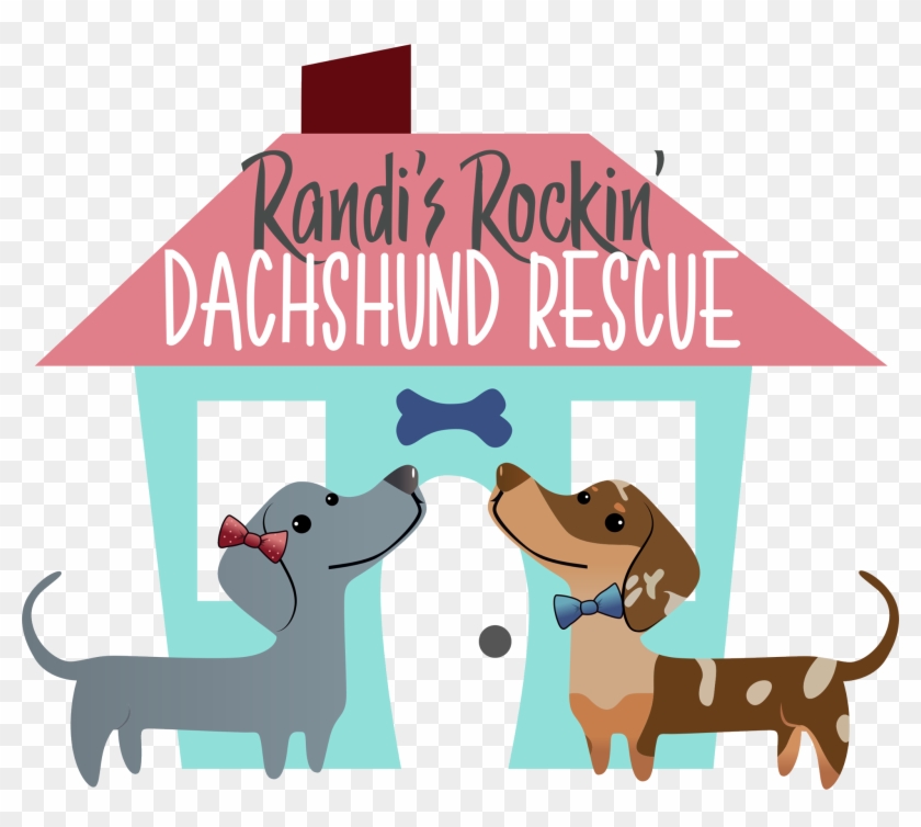 Randi S Rockin Dachshund - Dachshund #1673586