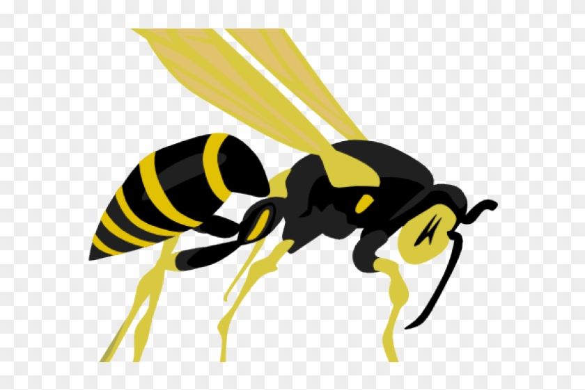 Wasp Clipart Hive - Wasp Clip Art #1673609