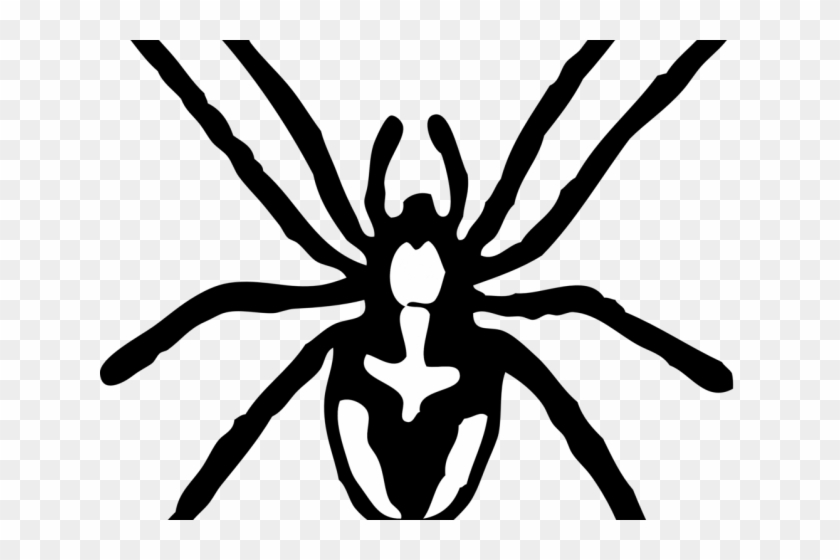 Tarantula Clipart Transparent - Spider Clipart Black And White #1673614