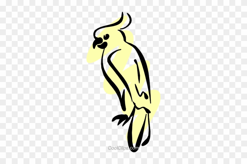 Parrot Royalty Free Vector Clip Art Illustration - Parrot Royalty Free Vector Clip Art Illustration #1673689