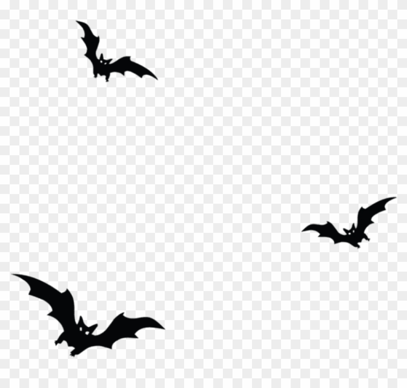 Free Png Download Haunted Bats Png Vector Png Images - Bats Png #1673798