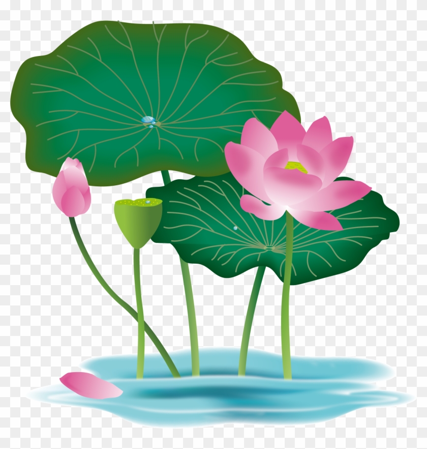 Hand Drawn Floral Lotus Flower Lotus Leaf Foliage Lotus - Hoa Sen Vector Png #1673819