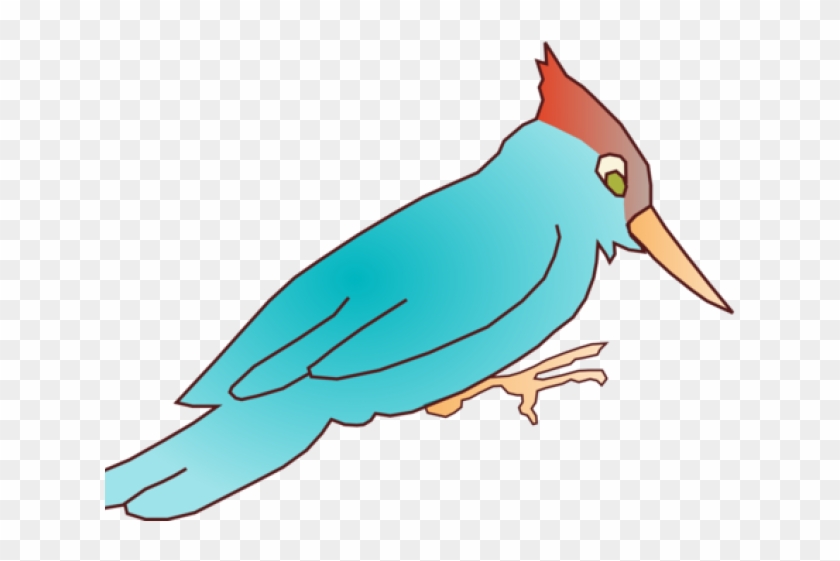 Woodpecker Clipart Foot - Woodpecker Clip Art #1673824