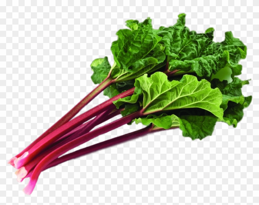 Bundle Of Rhubarb With Leaves - Rhubarb Png Transparent #1674110