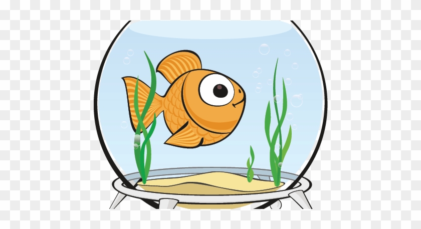Aquatics Go Fetch The Ofishal Guide - Aquarium Cartoon Without Fish #1674175