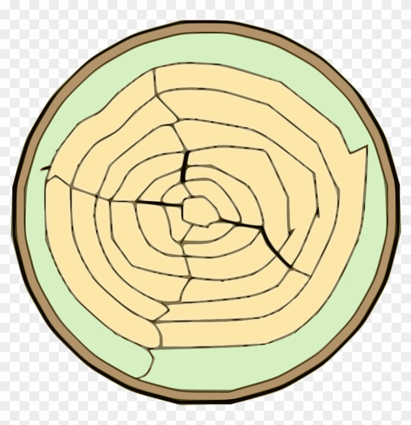 Open - Buchs Holz #1674780