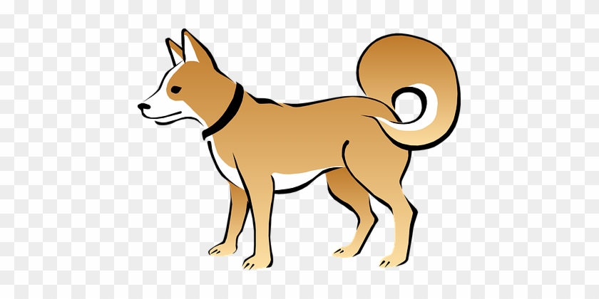 Dog, Brown, Pet, Animal, Tail, Eskimo - Dog Clip Art Png #1674871