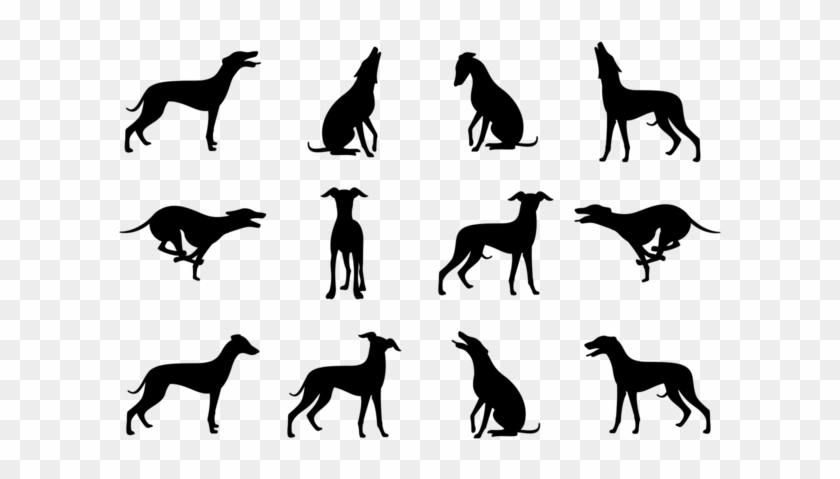 Whippet Front Silhouette #1674966