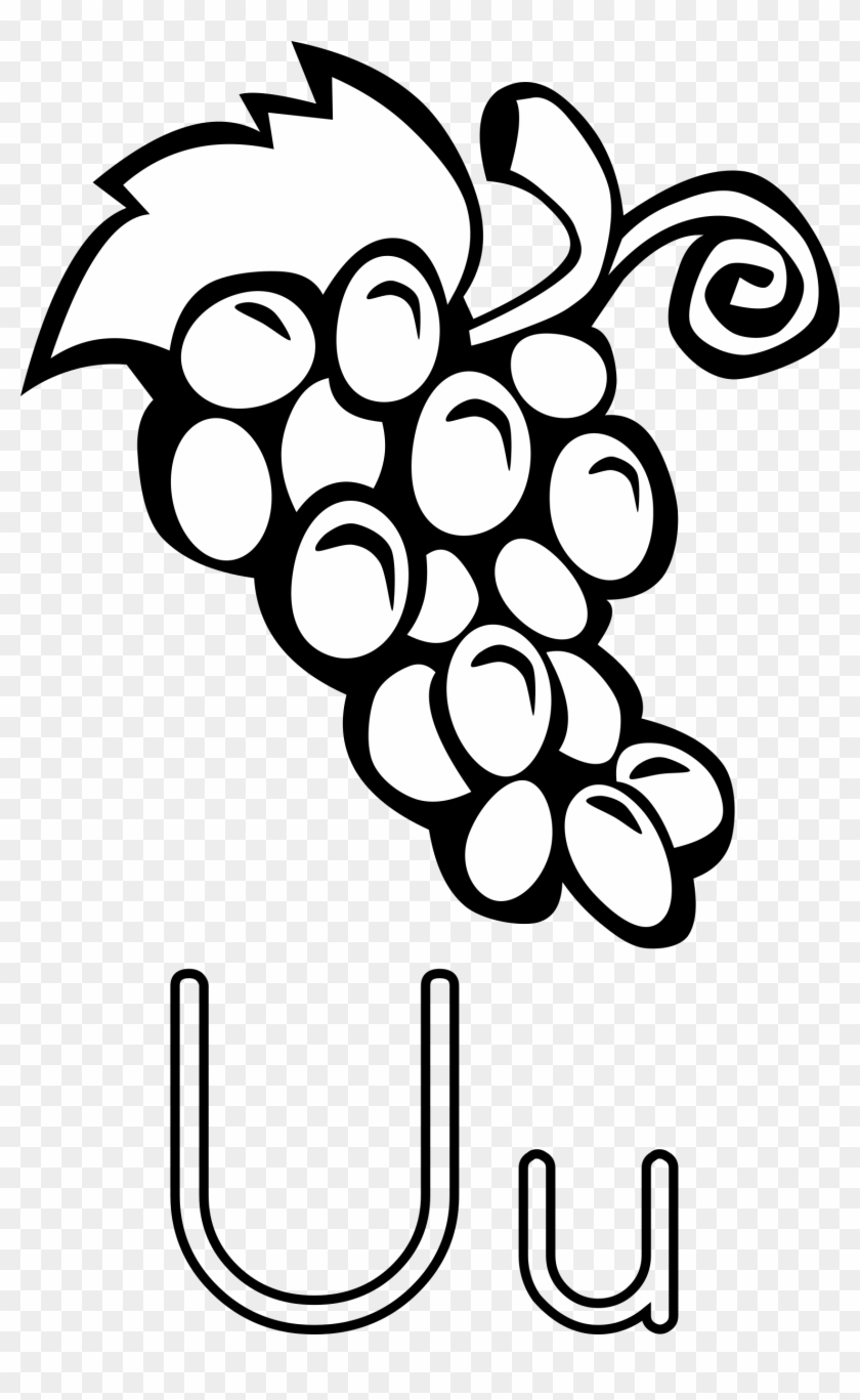 U De Uvas - U De Uvas #1674997