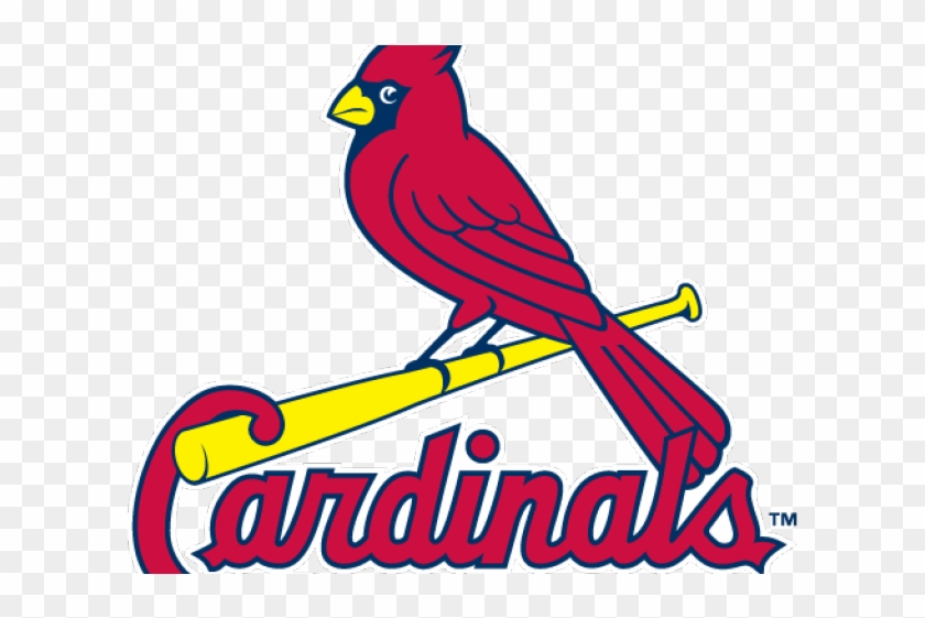 Cardinal Clipart Cardinals Baseball - St Louis Cardinals Png #1675013