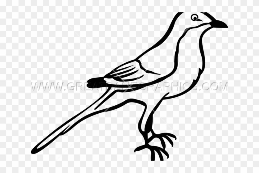 Drawn Mockingbird Clip Art - Northern Mockingbird Drawing #1675014