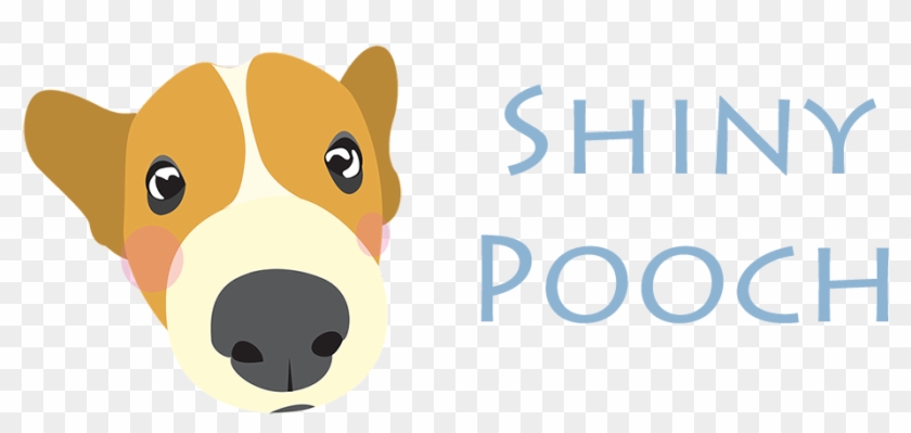 Shiny Pooch Shiny Pooch - Puppy #1675090
