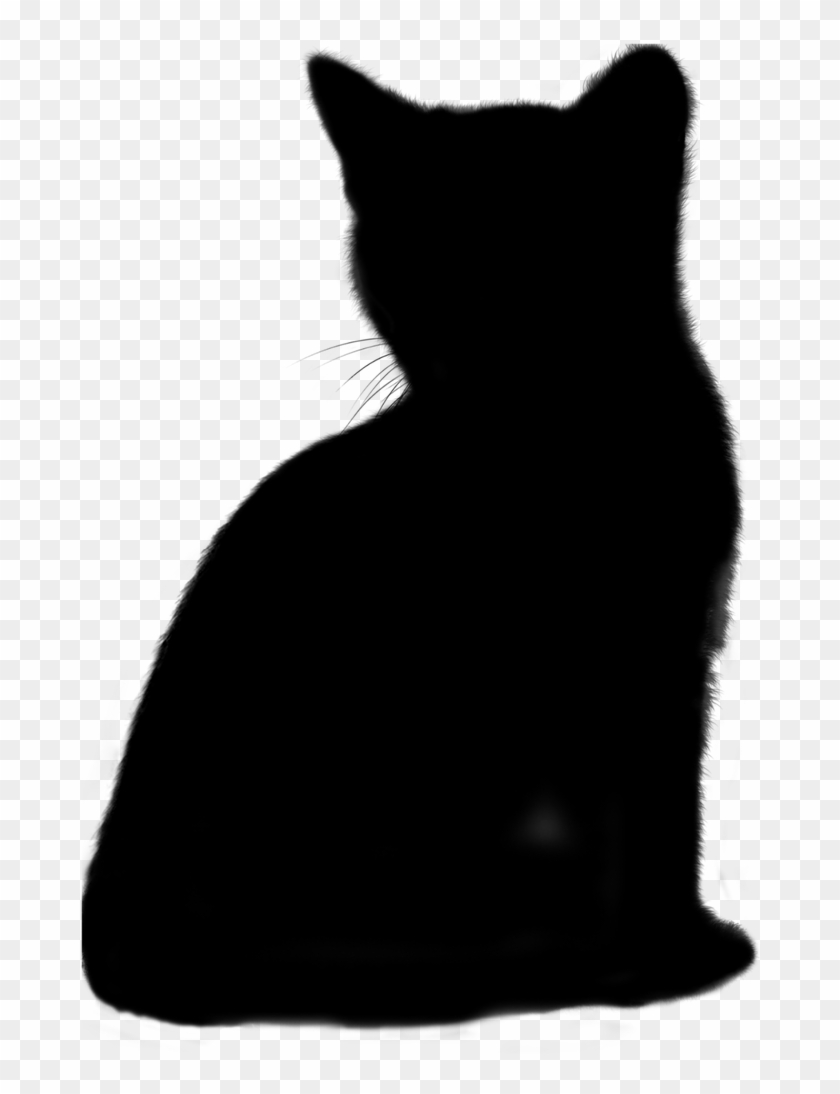 Pictures, Free Photos, - Silhouette Cat #1675098