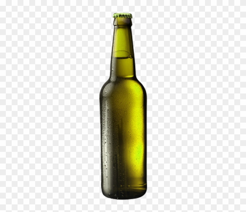 Beer Bottle #1675239