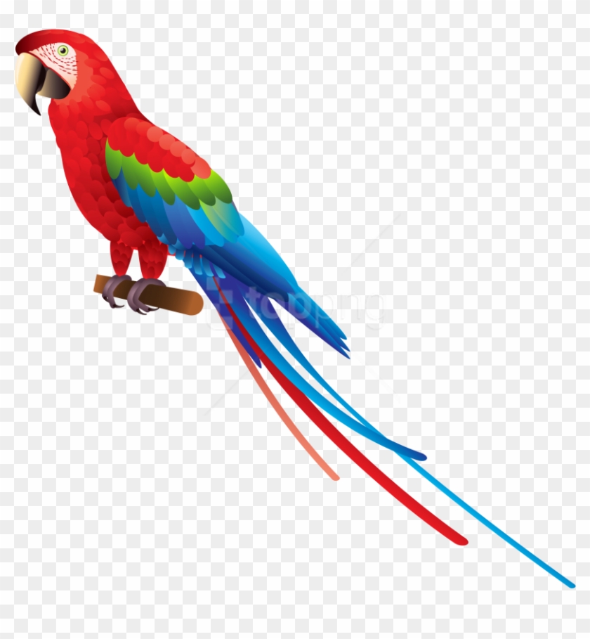 Free Png Download Parrot Clipart Png Photo Png Images - Blue And Yellow Macaw Clipart #1675568