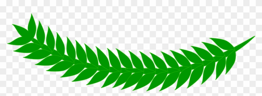 Leaf Grass Green - Yaprak Png #1675978