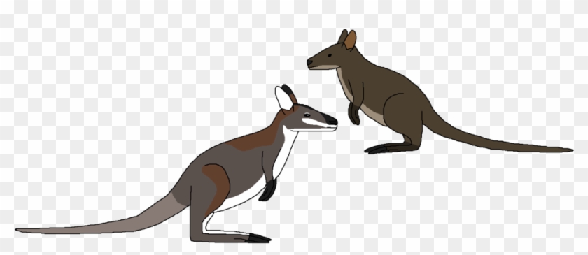 Mini Macropods By Wildandnaturefan On Deviantart Minimacropods - Kangaroo #1676199