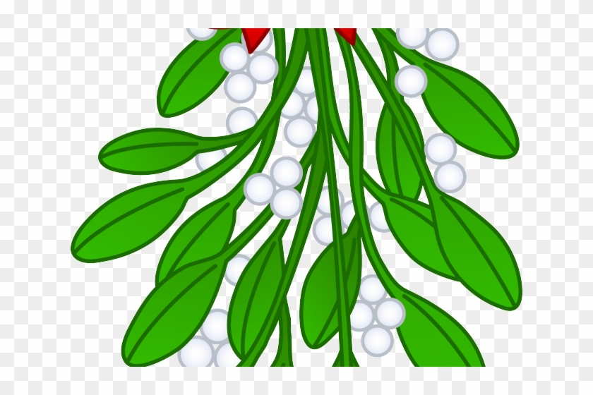 Mistletoe Cliparts - Hanging Mistletoe Transparent Background #1676324