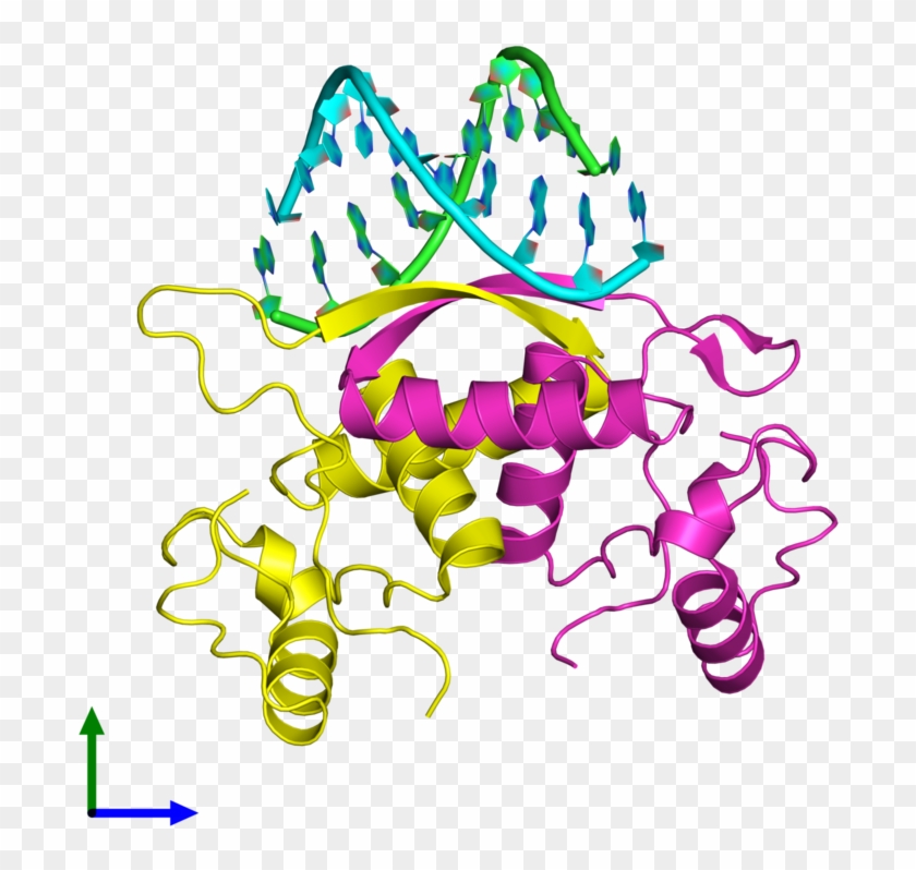 Pdb 1mjm Coloured By Chain And Viewed From The Front - Illustration #1676470